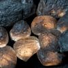 Agni Manitite: the Pearl of Divine Fire