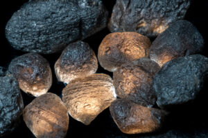 Agni Manitite: the Pearl of Divine Fire