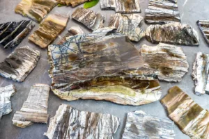 Arizona Pietiersite: A variety of Pietiersite