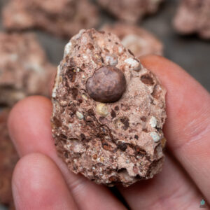 Bauxite: An Aluminium and iron oxide sedimentary rock