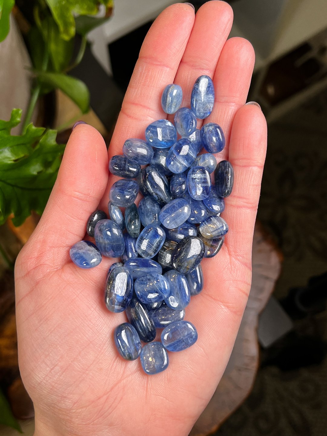 Blue Kyanite crystal1