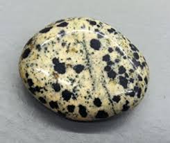 Dalmatian Stone