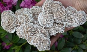 Desert Rose Selenite crystal