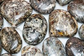 Garnet in Staurolite crystal1
