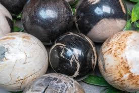 Indonesia Palm Wood Crystal