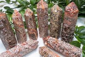 NWA 4420 Meteorite crystal1