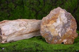 Peanut Wood Crystal