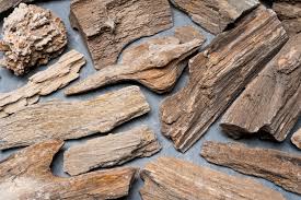 Petrified Ironwood Crystal