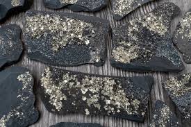 Pyrite on Shungite Crystal