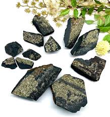 Pyrite on Shungite crystal2