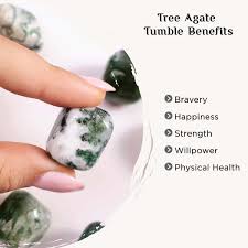 Tree Agate crystal1
