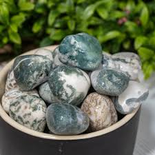 Tree Agate Crystal