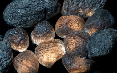 Agni Manitite: the Pearl of Divine Fire
